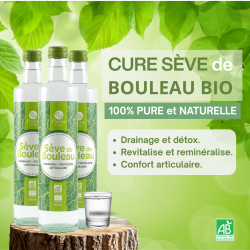 Cure Complète 3 bouleau et 1 jus d'argousier BIO