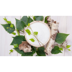 Pastilles au xylitol et à la menthe fraîche BIO