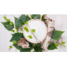 Pastilles au xylitol et à la menthe fraîche BIO