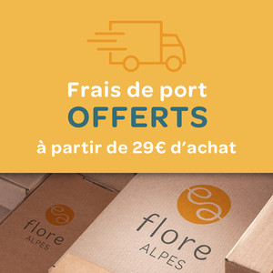 OFFRE NOEL 2023