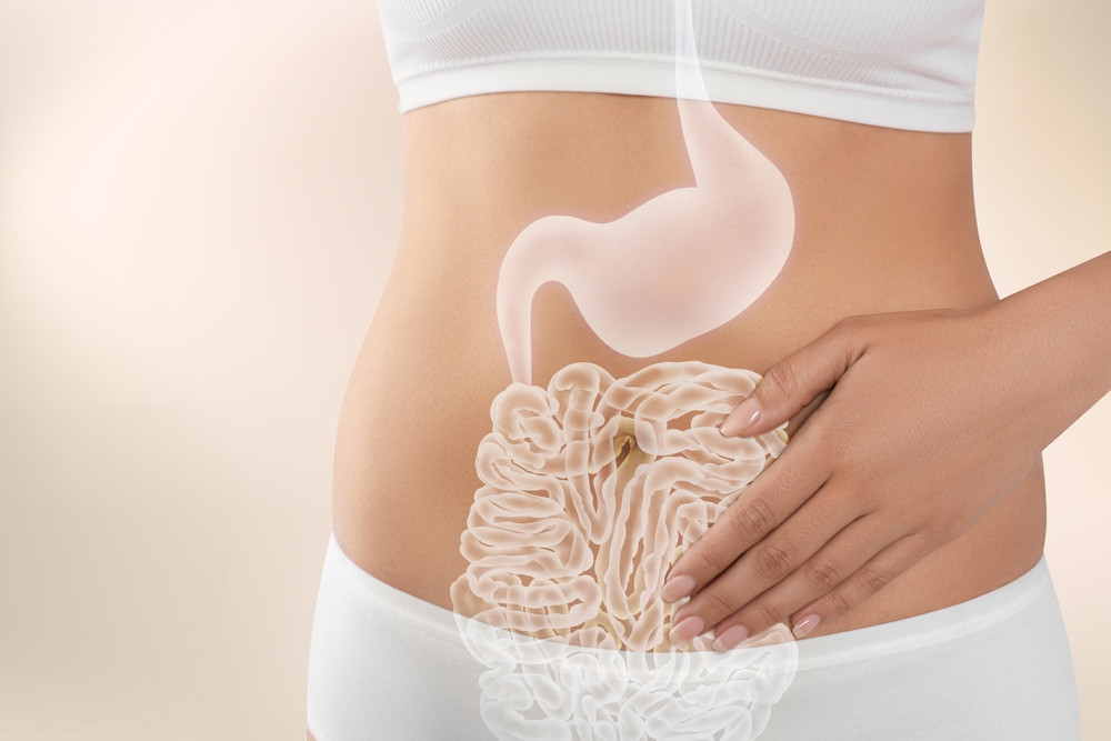 Santé intestinale et l'huile d'argousier : un précieux allié pour le confort digestif. Flore Alpes Santé intestinale et l'huile d'argousier : un précieux allié pour le confort digestif. Flore Alpes